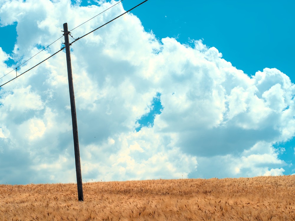 Wheat field and clouds