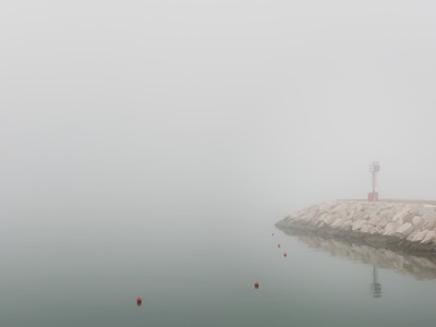 Fog at the harbor