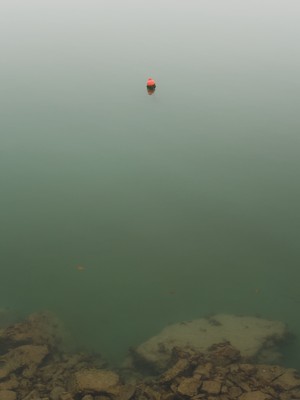 Orange buoy