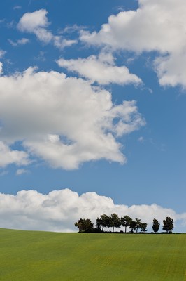 Trees on a green hill with clouds