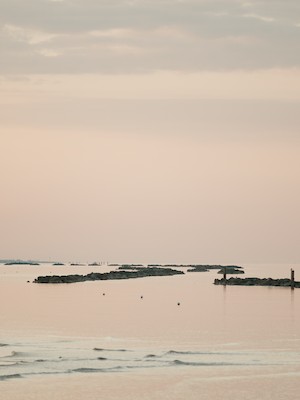 Sea rocks at dusk