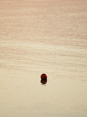 Orange buoy at dusk