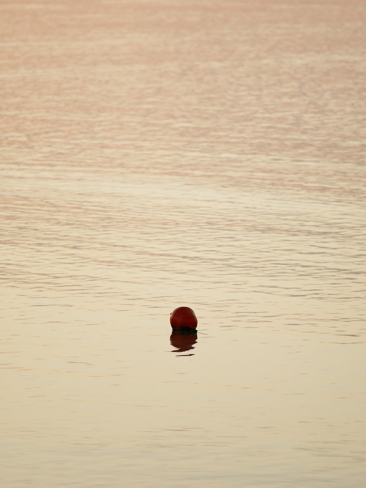 Orange buoy at dusk