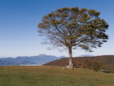 San Severino Marche