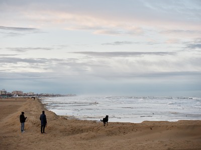 Watching the sea at dusk