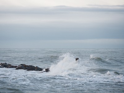 Sea rocks and waves