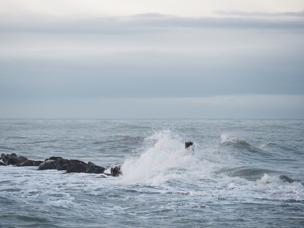 Sea rocks and waves