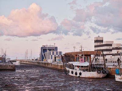 Harbor with marine debris at dusk