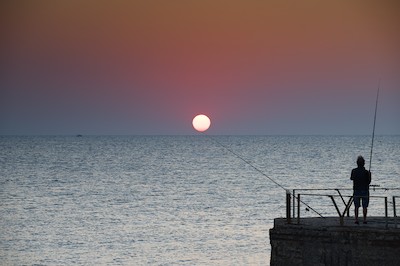 Fishing at sunrise