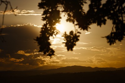 Sunset on the hills with a tree